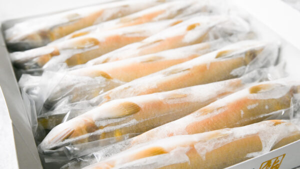 冷凍あゆの販売について